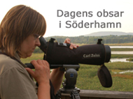 OBSAR Söderhamn