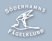 Söderhamns Fågelklubb