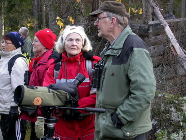 Berättar om lavskrikan