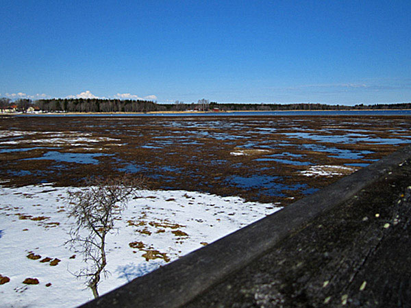 Ledskärsviken