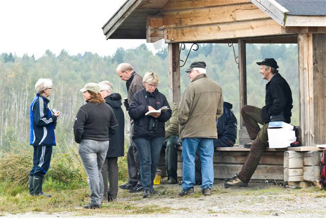 Ringmärkningen kan börja