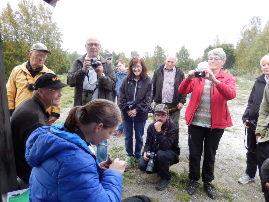 Ringmärkning 2014