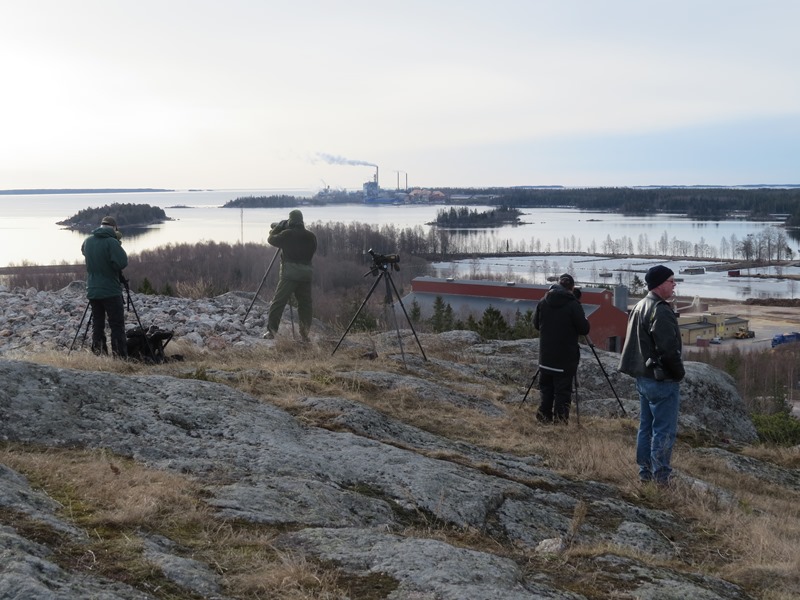 vårdberget utsikt