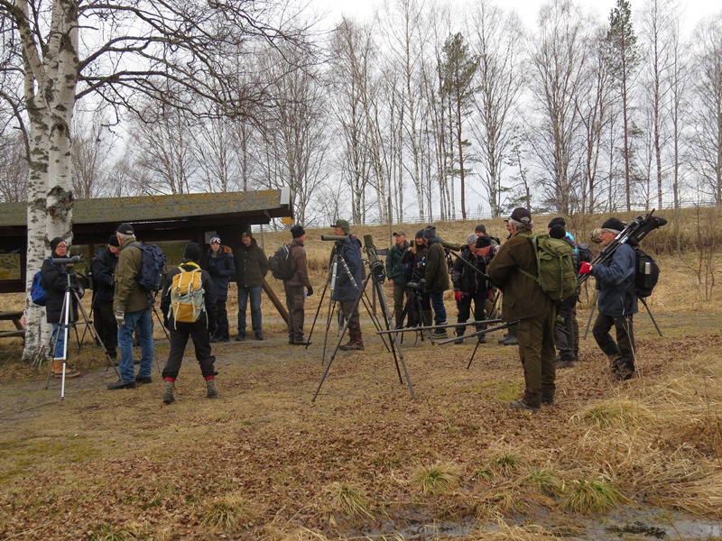 samling vid infotavlan