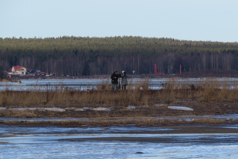 stenö janne siv