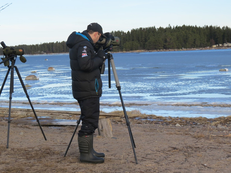 stenö roberg