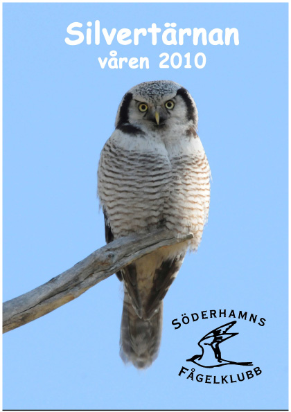 Våren 2010